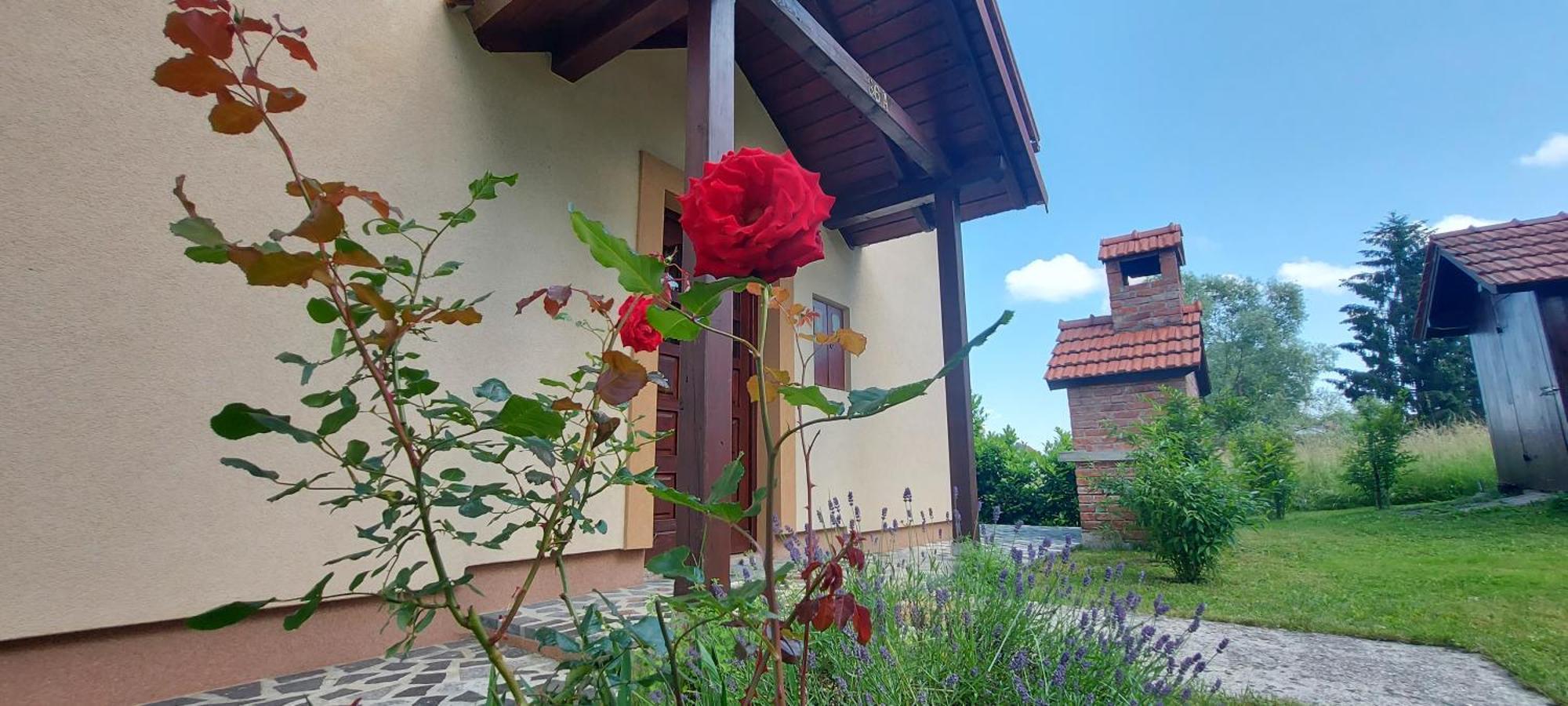 Holiday House And Apartments Vale Duga Resa Exterior photo